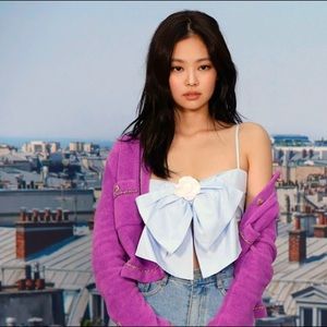 NOT SELLING - Searching - Chanel Crop Top